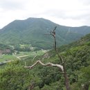 금화산악회 정기산행 7월19일 (단양) 두악산,던절산 이미지