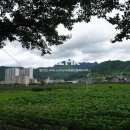 딸기공인중개사사무소 이미지