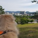 화서공원 이미지