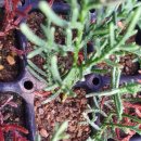 용토목장 이미지