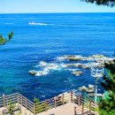 바다향기로 이미지