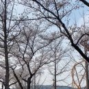 미쁨키즈풀빌라 이미지