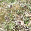 음암초등학교 이미지