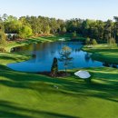 마스터스골프클럽 이미지