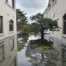 대식당(마에스트로) 이미지