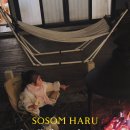 소솜,하루 네이버블로그