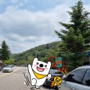 속리산휴양사업소 공중화장실 | [충북 보은 여행]보은 놀거리 솔향공원, 짚라인(속리산 산림 레포츠)(집라인)