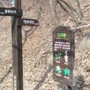 백야리산림욕장 이미지