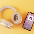 자연 이(e) 래 이미지