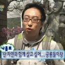 산속애견 이미지