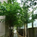 랜드정문공인중개사사무소 이미지