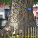 소림무술학교 이미지