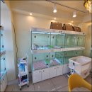 독라이프 이미지