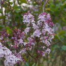 문막체육공원길 이미지