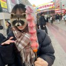 칭따오 🚬
