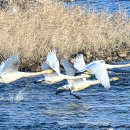 귀거래사 이미지