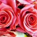 일신조산원 | [베이비플래너]나에게 맞는 산부인과&amp;산후조리원 | 임산부 건강정보