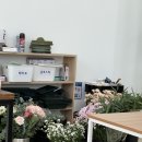 더 엘리시아 다알리아 네이버블로그