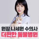 백산메디칼 이미지