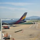 541 | 아시아나 OZ541, OZ512 탑승 후기