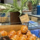 몽트리에 | 광명동굴 노천 카페 추천 소올투베이커리 광명 소금빵 맛집