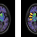 에스바이오 이미지
