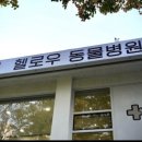 헬로우동물병원 이미지