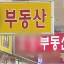 LG공인중개사사무소 이미지