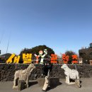 새별 | [제주도/제주시] 6세 아이와 먹이주기 체험이 가능한 애월 동물원 방문 후기 - 새별프렌즈