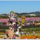 10월 3일 (목) 인천 드림파크 국화축제 및 전어 번개안내... 이미지