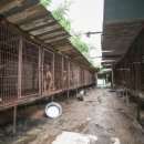 어미들 농장 이미지