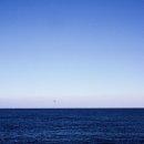 푸른세상 이미지