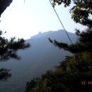 반야호횟집 이미지