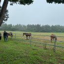 성샘목장 이미지