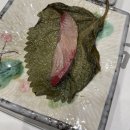 와사비횟집 | 원주 룸식당 추천 숙성회 맛집 와사비횟집 재방문 후기