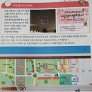 구리 코스모스축제 번개공지 2025 0929 (월요일) 이미지