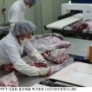 대우축산물 이미지