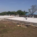 선흘하루 이미지