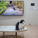 예뻐지냥 이미지