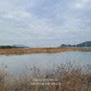 이원호 태양광발전소 이미지