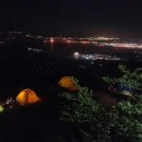 멸치가 살아있는 국수 이미지