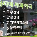 옵티마사과약국 이미지