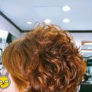 양천목장 이미지