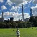 루비애견 이미지