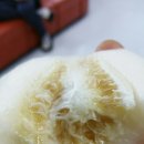 별이네농산물