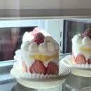 딸기애견 | 광안리 레터링케이크 맛집 레드베릴즈 내돈내산, 애견동반 카페 딸기케이크 후기