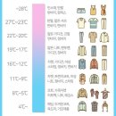 옷-차림 티스토리