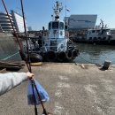 킹콩낚시 이미지