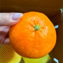 예찬농장 이미지