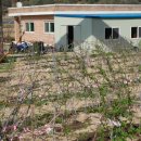 성결농장 이미지